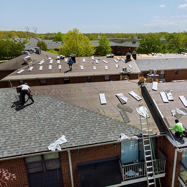 professional roofing services