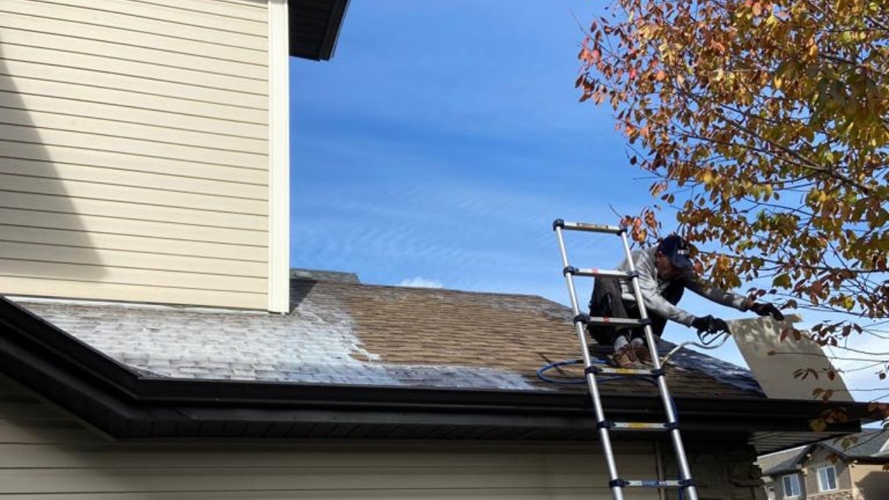 roof patching and rejuvenation in calgary 7